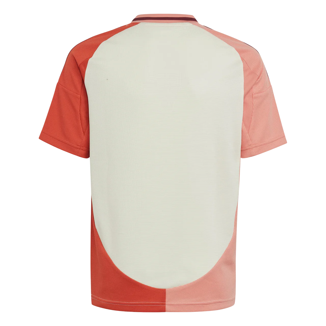 OL Maillot Concept 2024/2025