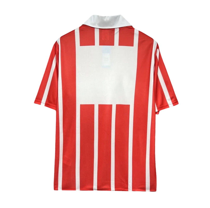 PSV Eindhoven Maillot Concept Domicile 2024/2025