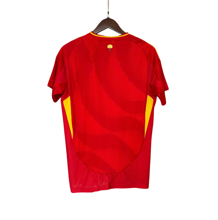 Espagne Maillot Concept Domicile 2024/2025