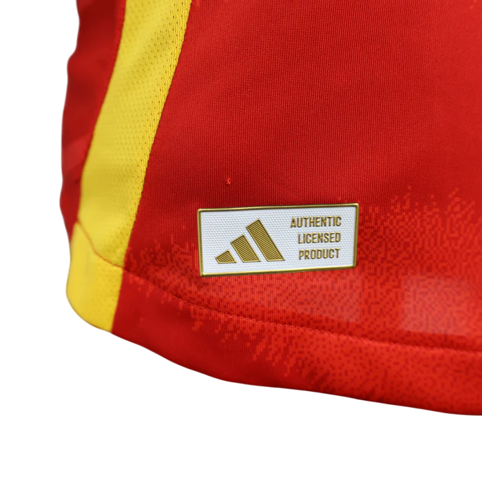Espagne Maillot Concept Domicile 2024/2025