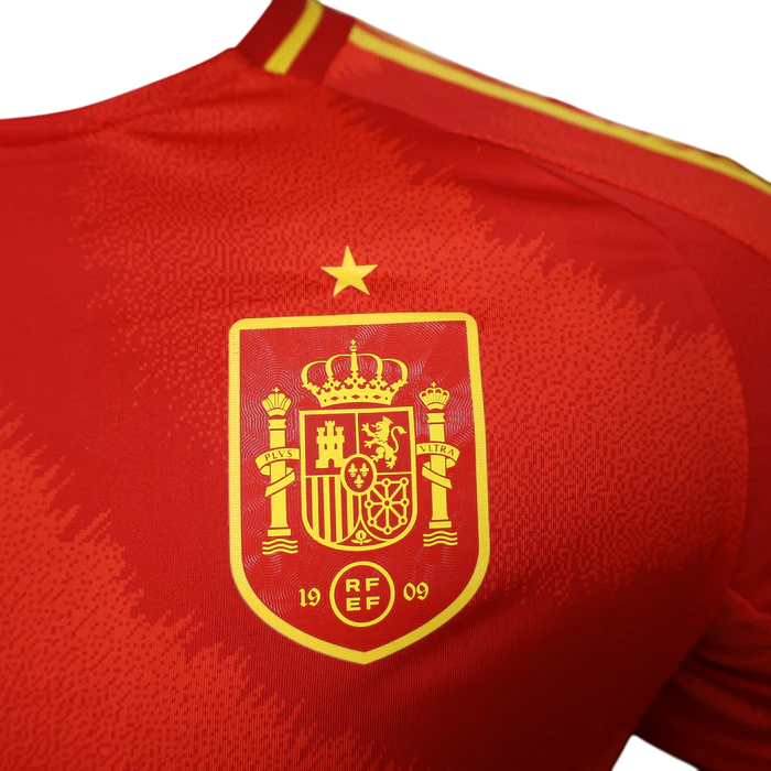 Espagne Maillot Concept Domicile 2024/2025