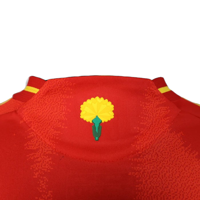 Espagne Maillot Concept Domicile 2024/2025