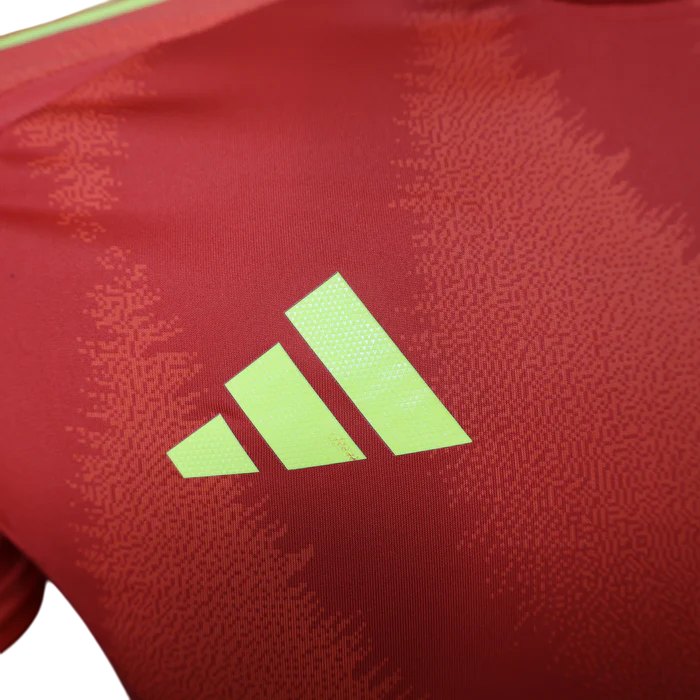 Espagne Maillot Concept Domicile 2024/2025
