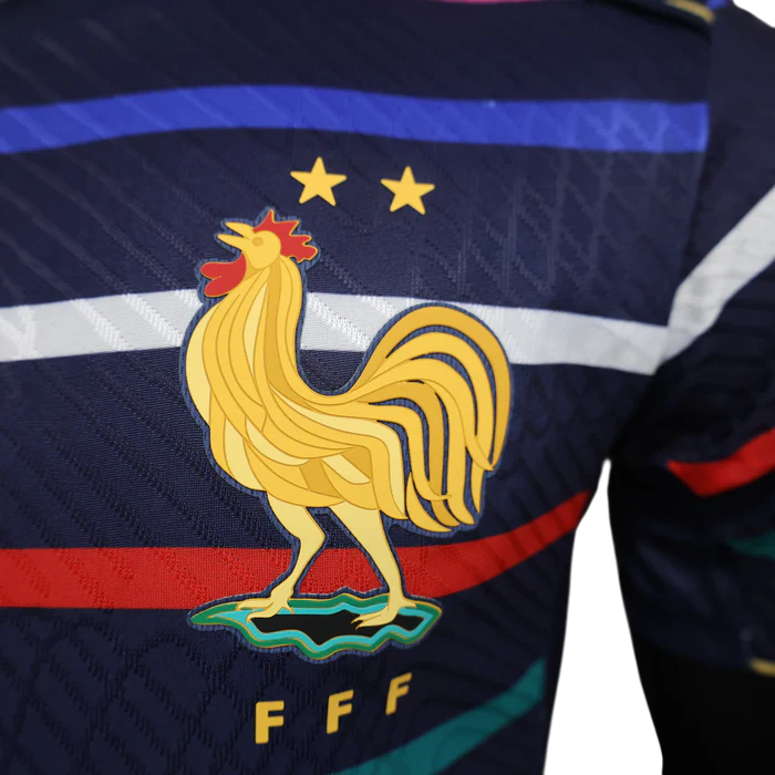 France Maillot Concept Entraînement 2024/2025