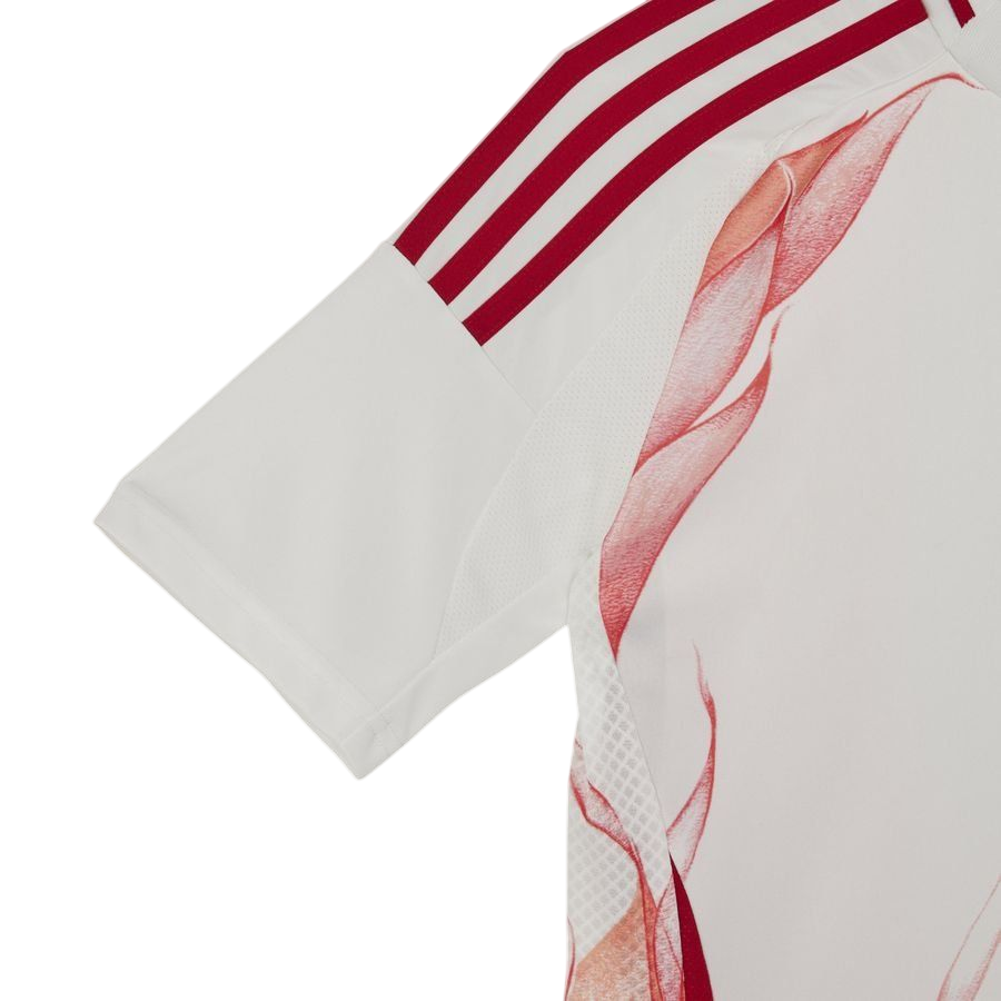 Japon Maillot Concept Extérieur