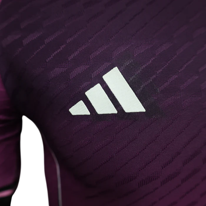 Japon Maillot Concept "Violet" 2024/2025