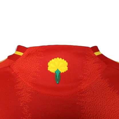 Espagne Maillot Concept Domicile 2024/2025
