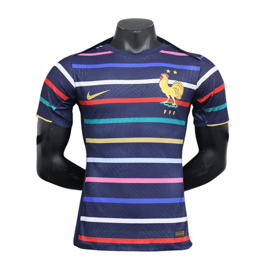 France Maillot Concept Entraînement 2024/2025