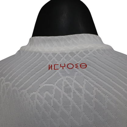 Maroc Maillot Concept Extérieur 2024/2025