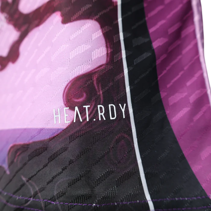 Japon Maillot Concept "Violet" 2024/2025